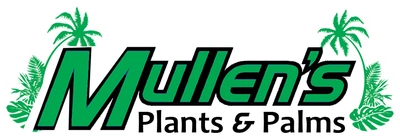 Mullen's Plants & Palms
